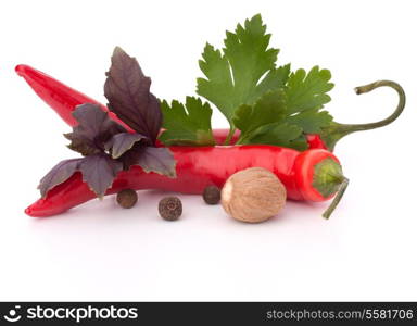 Hot red chili or chilli pepper and aromatic herbs leaves still life isolated on white background cutout