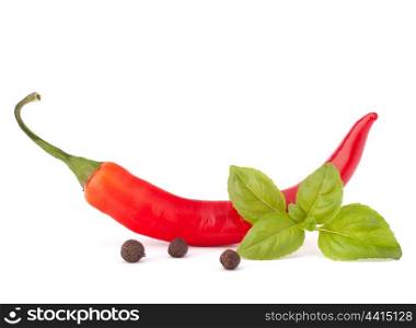 Hot red chili or chilli pepper and basil leaves still life isolated on white background cutout