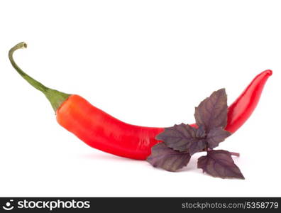 Hot red chili or chilli pepper and basil leaves still life isolated on white background cutout