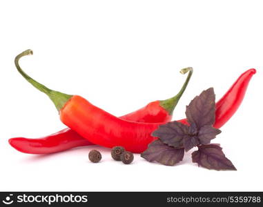 Hot red chili or chilli pepper and basil leaves still life isolated on white background cutout