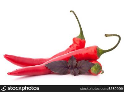 Hot red chili or chilli pepper and basil leaves still life isolated on white background cutout