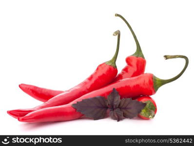 Hot red chili or chilli pepper and basil leaves still life isolated on white background cutout