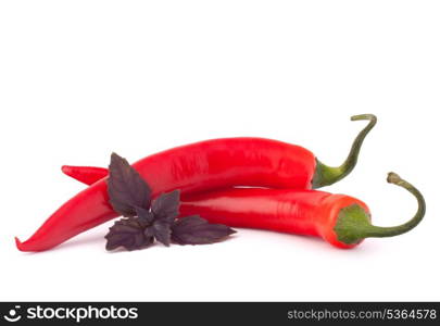 Hot red chili or chilli pepper and basil leaves still life isolated on white background cutout