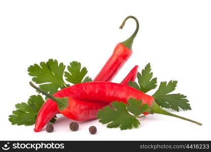 Hot red chili or chilli pepper and parsley leaves still life isolated on white background cutout