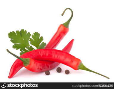 Hot red chili or chilli pepper and parsley leaves still life isolated on white background cutout