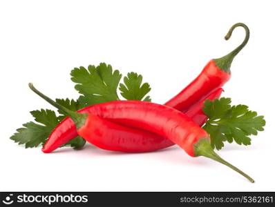 Hot red chili or chilli pepper and parsley leaves still life isolated on white background cutout