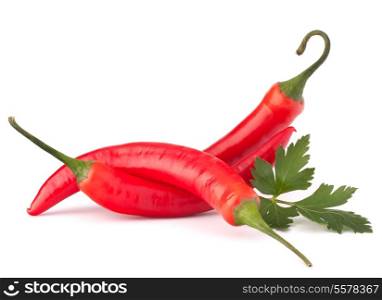 Hot red chili or chilli pepper and parsley leaves still life isolated on white background cutout