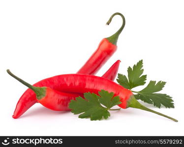 Hot red chili or chilli pepper and parsley leaves still life isolated on white background cutout