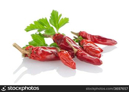 Hot red chili or chilli pepper and parsley leaves still life isolated on white background