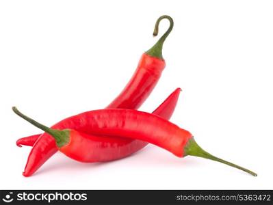 Hot red chili or chilli pepper still life isolated on white background cutout