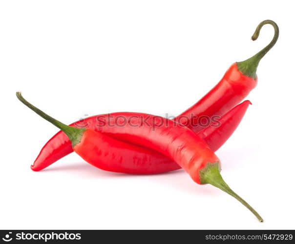 Hot red chili or chilli pepper still life isolated on white background cutout