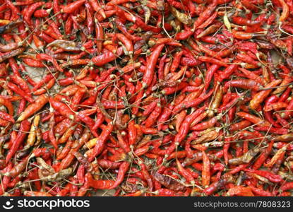 Hot red pepper on the plate