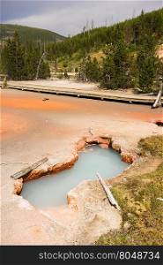 Hot Springs bubble up in the Artist Paint Pots area of Yellowstone