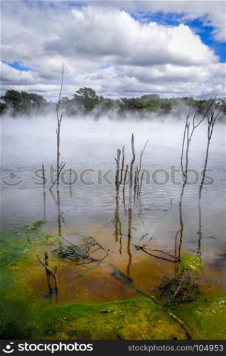Hot springs lake in Rotorua park, New Zealand. Hot springs lake in Rotorua, New Zealand