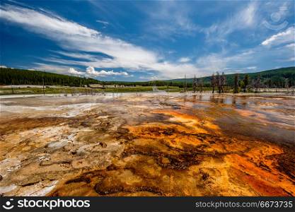 Hot thermal spring in Yellowstone . Hot thermal spring Black Opal Pool in Yellowstone National Park, Biscuit Basin area, Wyoming, USA