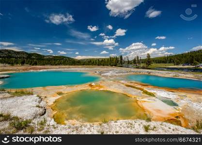 Hot thermal spring in Yellowstone . Hot thermal spring Black Opal Pool in Yellowstone National Park, Biscuit Basin area, Wyoming, USA
