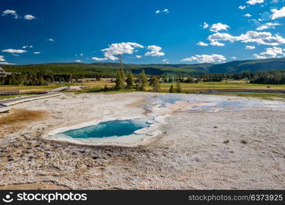 Hot thermal spring in Yellowstone National Park, Wyoming, USA