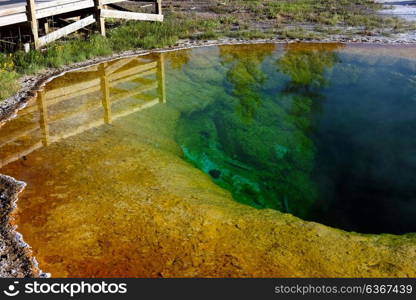 Hot thermal spring Morning Glory Pool in Yellowstone National Park, Wyoming, USA