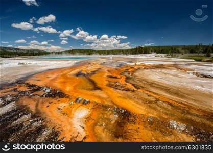 Hot thermal spring Rainbow Pool in Yellowstone National Park, Black Sand Basin area, Wyoming, USA
