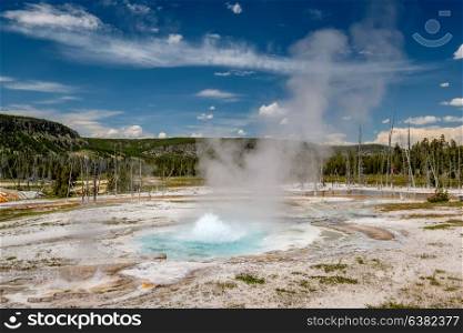 Hot thermal spring Spouter Geyser in Yellowstone National Park, Black Sand Basin area, Wyoming, USA