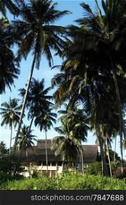 Hotel under palm trees on Pantai Sorak beach in Nias, Indonesia