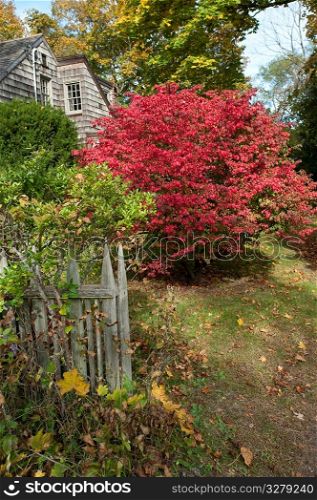 House and autumn leaves in The Hamptons