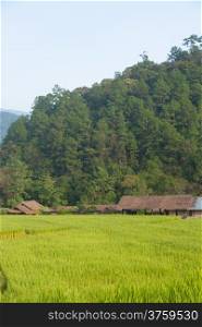 House and rice fields Arable farming in the mountain areas Houses and fields on the mountain.