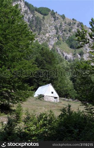 House and trees near mount in Montenegro