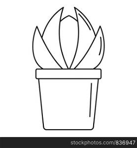 House cactus pot icon. Outline house cactus pot vector icon for web design isolated on white background. House cactus pot icon, outline style