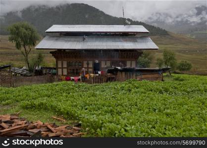 House in a field, Phobjikha Valley, Bhutan