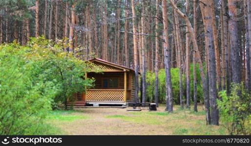 house in a pine forest