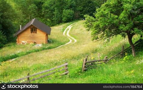 House in mountain meadow. Nature composition.