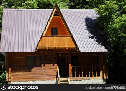 House in the meddle of the forest