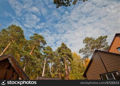 House in the summer forest