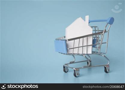 house miniature shopping cart