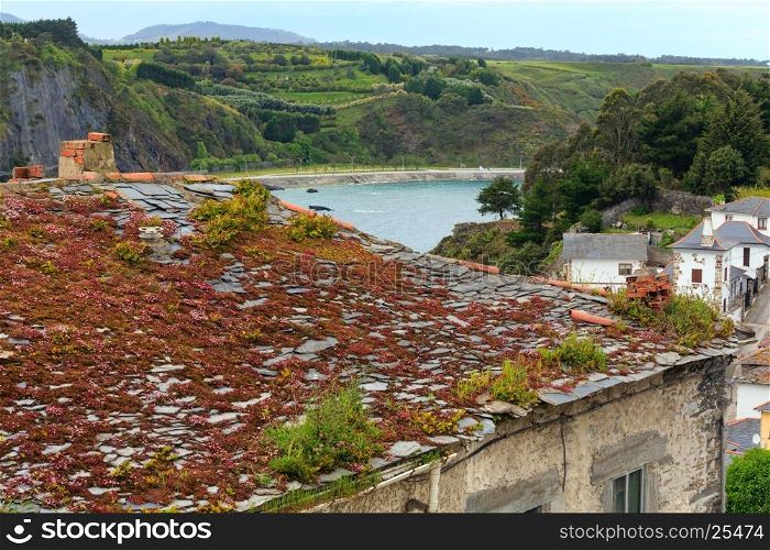 House roof with blossoming plants in Luarca town, Asturias, Spain.