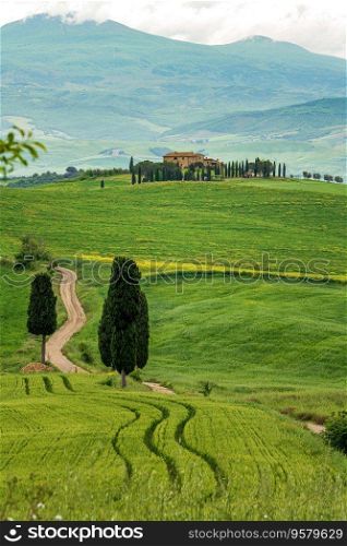 House surrounded by cypress trees among the misty morning sun-drenched hills of the Val d’Orcia valley at sunrise in San Quirico d’Orcia, Tuscany, Italy
