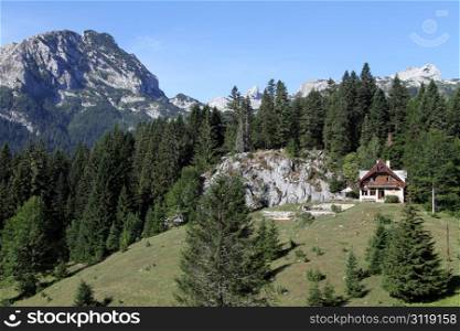 House, trees and mountain in Durmitor, Montenegro
