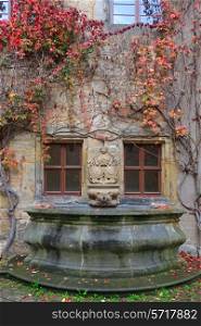 House wall, fountain with colorful vines and autumn leaves in Germany&#xA;