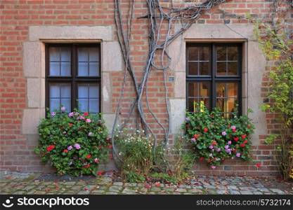 House windows with flowers, vines and brick wall in Nuremberg, Germany&#xA;