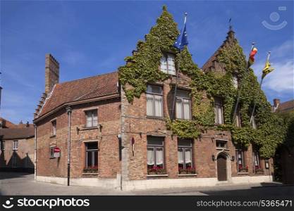 House with vines in Brugge, Belgium&#xA;