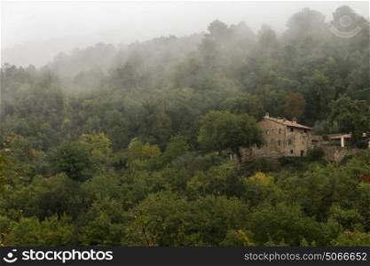 Houses amidst trees in forest, Greve in Chianti, Tuscany, Italy