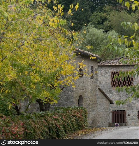 Houses amidst trees in village, Badiaccia a Montemuro, Radda in Chianti, Tuscany, Italy