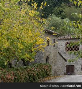 Houses amidst trees in village, Badiaccia a Montemuro, Radda in Chianti, Tuscany, Italy