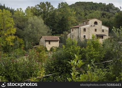 Houses amidst trees in village, Chianti, Tuscany, Italy
