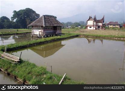 Houses and pond in the village, Sumatra, Indonesia