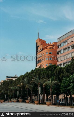Houses and trees in the city of Benidorm, Spain