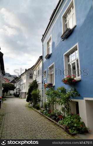 Houses in a street, Norway