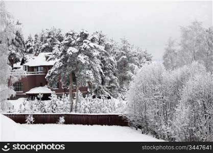 houses in winter forest snow around