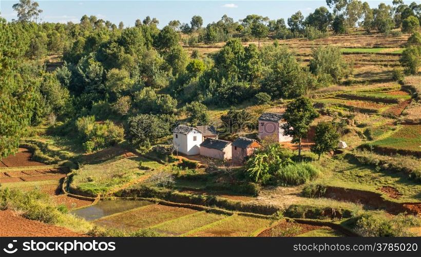 Houses made of bricks on a hilly landscape alongside a typical Malagasy rice farm